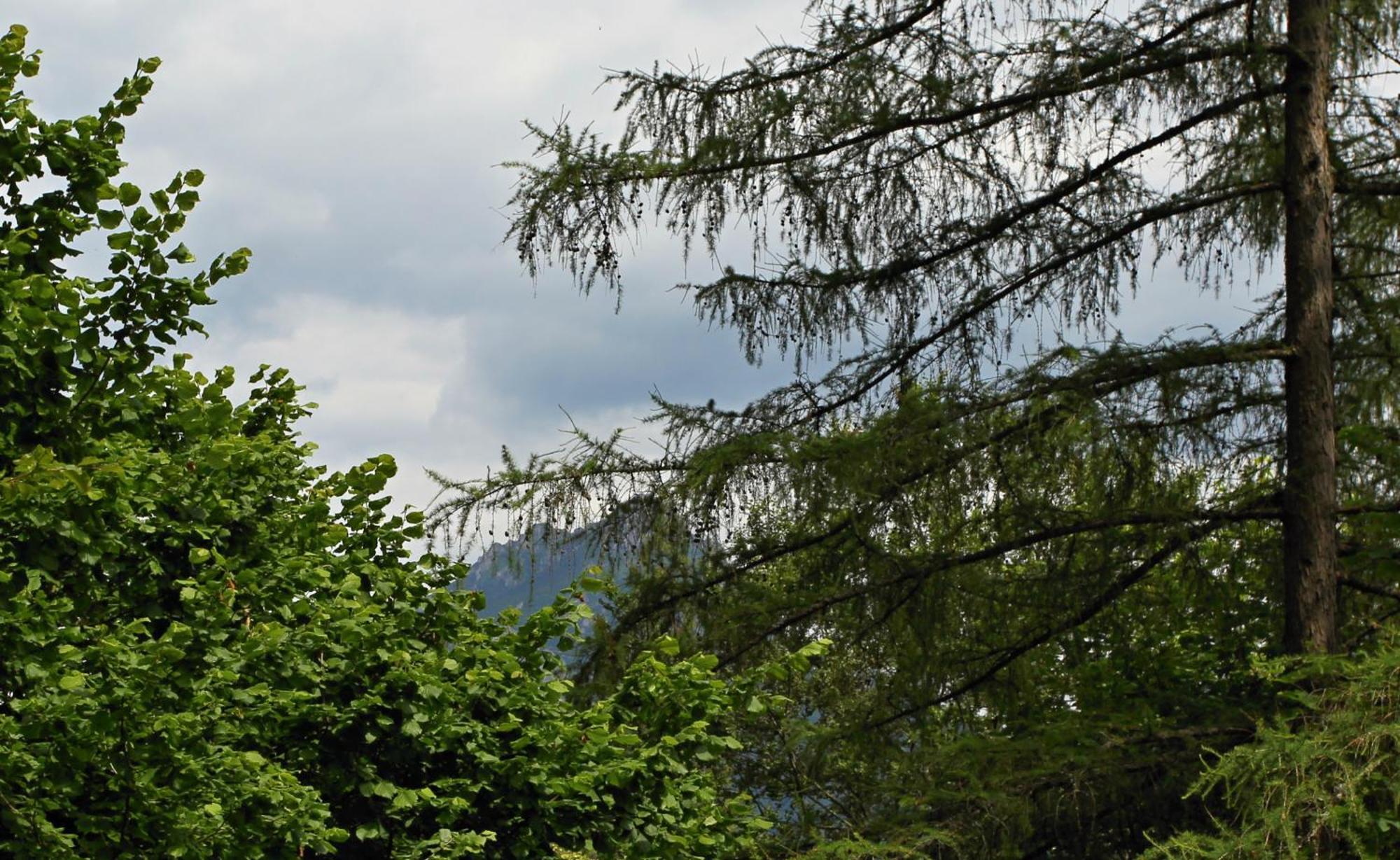 Chata Sona Terchová Exteriér fotografie